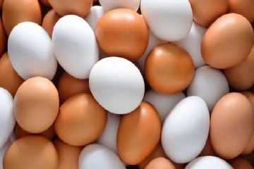 முட்டை விற்பனை தொடர்பில் வெளியான தகவல்