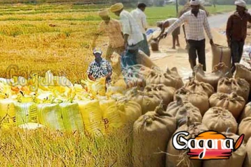 සහල් හිඟය සතියකින් අවසන්ඩ: ඩ්ලි සිරිසේන