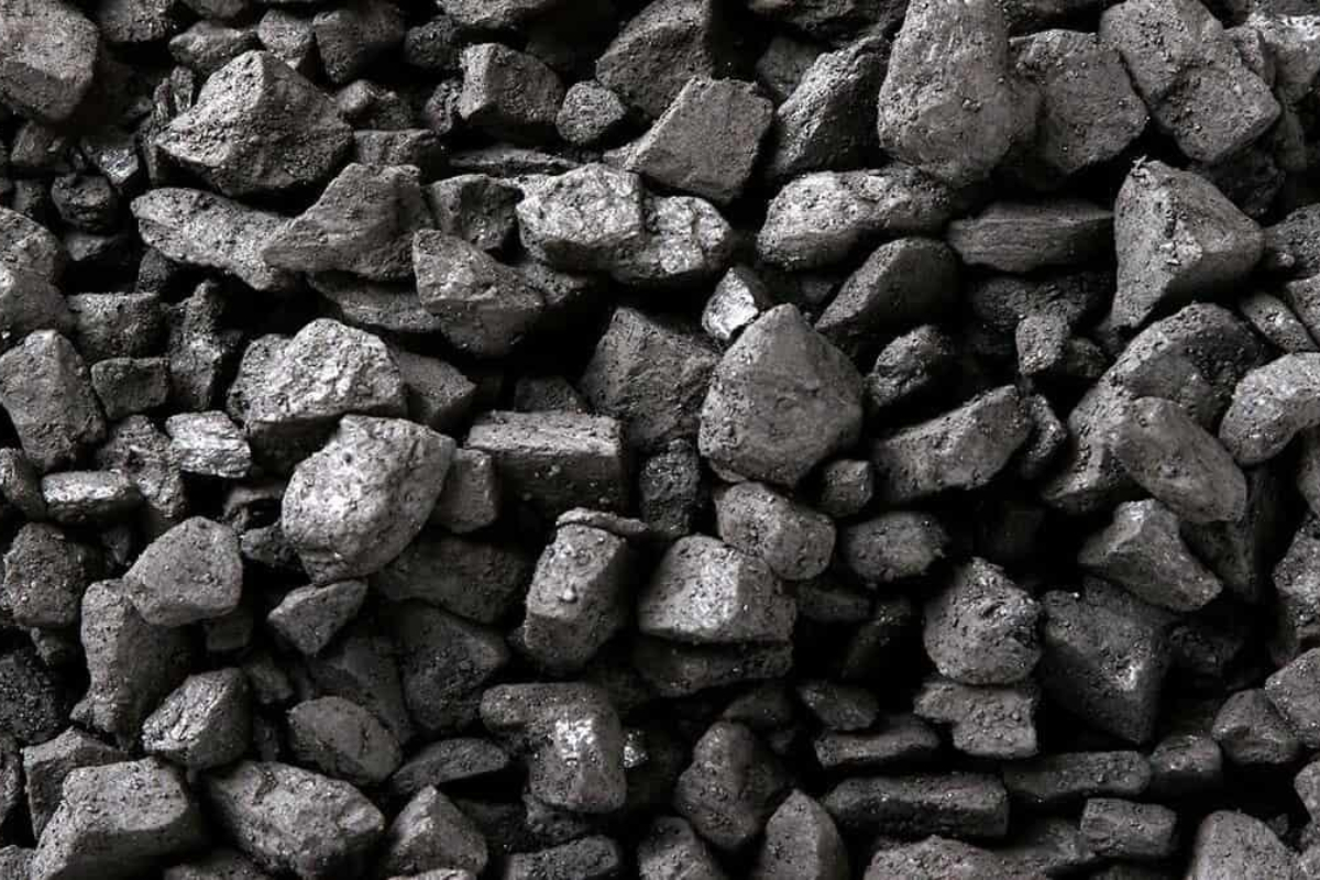 நிலக்கரி கொள்வனவு மோசடிகள்! பொதுமக்களிடமிருந்து திரட்டப்படவுள்ள தகவல்கள் | Coal Purchase Agreements Informations From Public