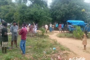 குளத்தில் குளிக்கச் சென்ற சிறுவன் முதலையின் தாக்குதலுக்கு உள்ளாகி உயிரிழப்பு