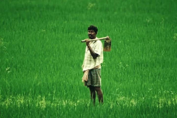 எந்தவொரு விவசாயிகளும் நெற் செய்கையை விட்டு விலகவில்லை