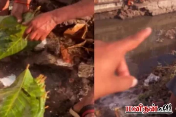 சாக்கடை தண்ணீரில் வெற்றிலை கழுவிய வியாபாரி - வைரலாகும் காணொளி