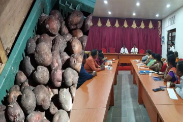 உருளைக்கிழங்கு விதைகள் பழுதடைந்த விவகாரம்: எடுக்கப்பட்டுள்ள தீர்மானம்