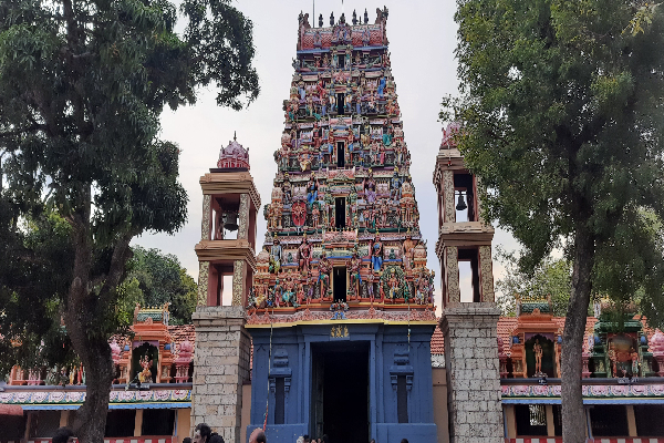 பறாளாய் முருகன் கோவிலில் சங்கமித்தை நாட்டிய மரம் - அரச வர்த்தமானியை எதிர்த்து போராட்டம் | Sankamiththai Come Srilanka Tamils Issue