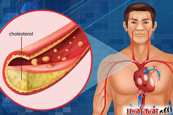 வெள்ளை சாதம் அதிகமாக சாப்பிடுறீங்களா? உயிருக்கு ஆபத்தை ஏற்படுத்தும் ஜாக்கிரதை | Daily 3 Times Eat Rice Your Body Condition வெள்ளை சாதம் அதிகமாக சாப்பிடுறீங்களா? உயிருக்கு ஆபத்தை ஏற்படுத்தும் ஜாக்கிரதை | Daily 3 Times Eat Rice Your Body Condition