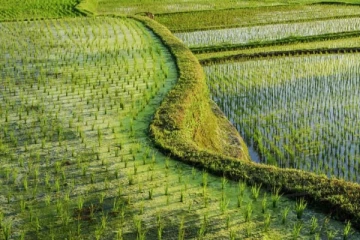 விவசாயிகளுக்கு விடுக்கப்பட்டுள்ள அறிவிப்பு