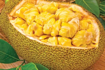 பலாப்பழத்தில் பிசுபிசுப்பு ஒட்டாமல் ஈசியா எடுக்க சில டிப்ஸ்..! கண்டிப்பாக தெரிஞ்சிக்கோங்க