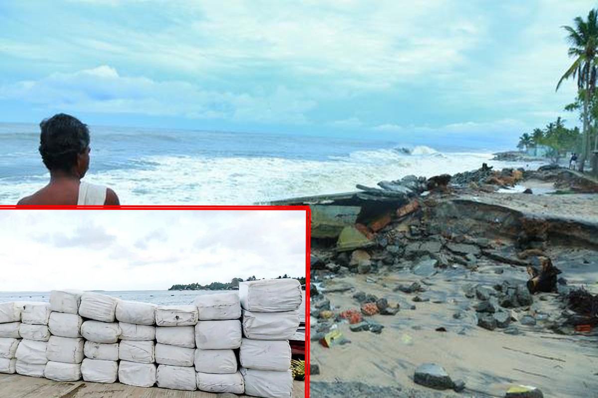 கிளிநொச்சி கடற்பரப்பில் வெளிநாட்டு கஞ்சா பொதிகள் | Foreign Cannabis Parcels In Kilinochchi Waters