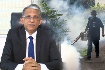 மேல் மாகாணத்தில் டெங்கு தடுப்பு வாரம் பிரகடனம்