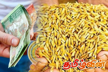 நெல்லுக்கு விரைவில் உத்தரவாத விலை