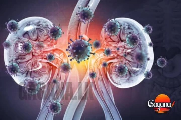 දිනකට 5දෙනෙකුට මරු කැඳවන වකුගඩු රෝග