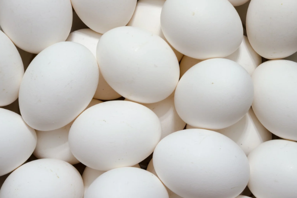 முட்டை விலை குறித்து வெளியான தகவல் | Decision To Reduce Egg Prices By Rs 10