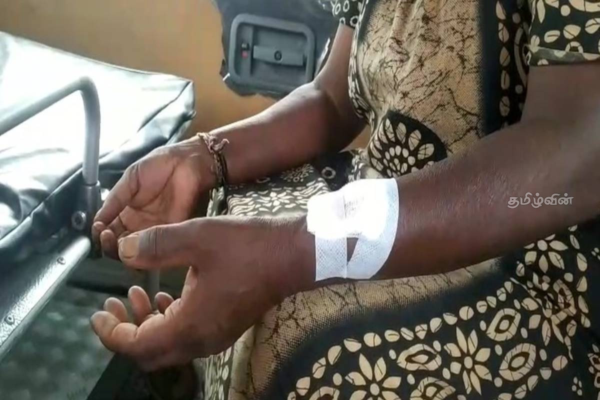 புதருக்குள் இருந்து திடீரென பாய்ந்த சிறுத்தை - தேயிலைத் தோட்ட தொழிலாளி படுகாயம் | Female Employee Seriously Injured Leopard Attack புதருக்குள் இருந்து திடீரென பாய்ந்த சிறுத்தை - தேயிலைத் தோட்ட தொழிலாளி படுகாயம் | Female Employee Seriously Injured Leopard Attack