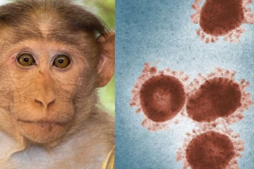 சீனாவில் கிளம்பிய புது குரங்கு பி வைரஸ்! அறிகுறிகள் என்ன? யாரை எல்லாம் தாக்கும்?