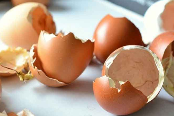 குளிர் சாதன பெட்டியில் முட்டைகளை வைப்பதால் இத்தனை ஆபத்தா! | Dangerous To Keep Eggs In Cold Storage Box