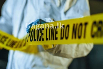 කොටහළු මගුලේ දී තරුණයෙක්ට හිතුවෙවත් නැති වෙලාවක වුණ අවාසනාවන්ත ඉරණම..