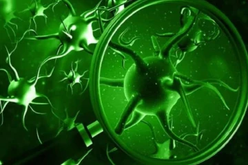 பச்சை பூஞ்சை தொற்று!  ஆரம்ப அறிகுறிகள் என்ன? தடுப்பது எப்படி?