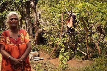 வறுமையில் வாழும் வயோதிப தாயின் வலி நிறைந்த வாழ்க்கை( காணொலி)