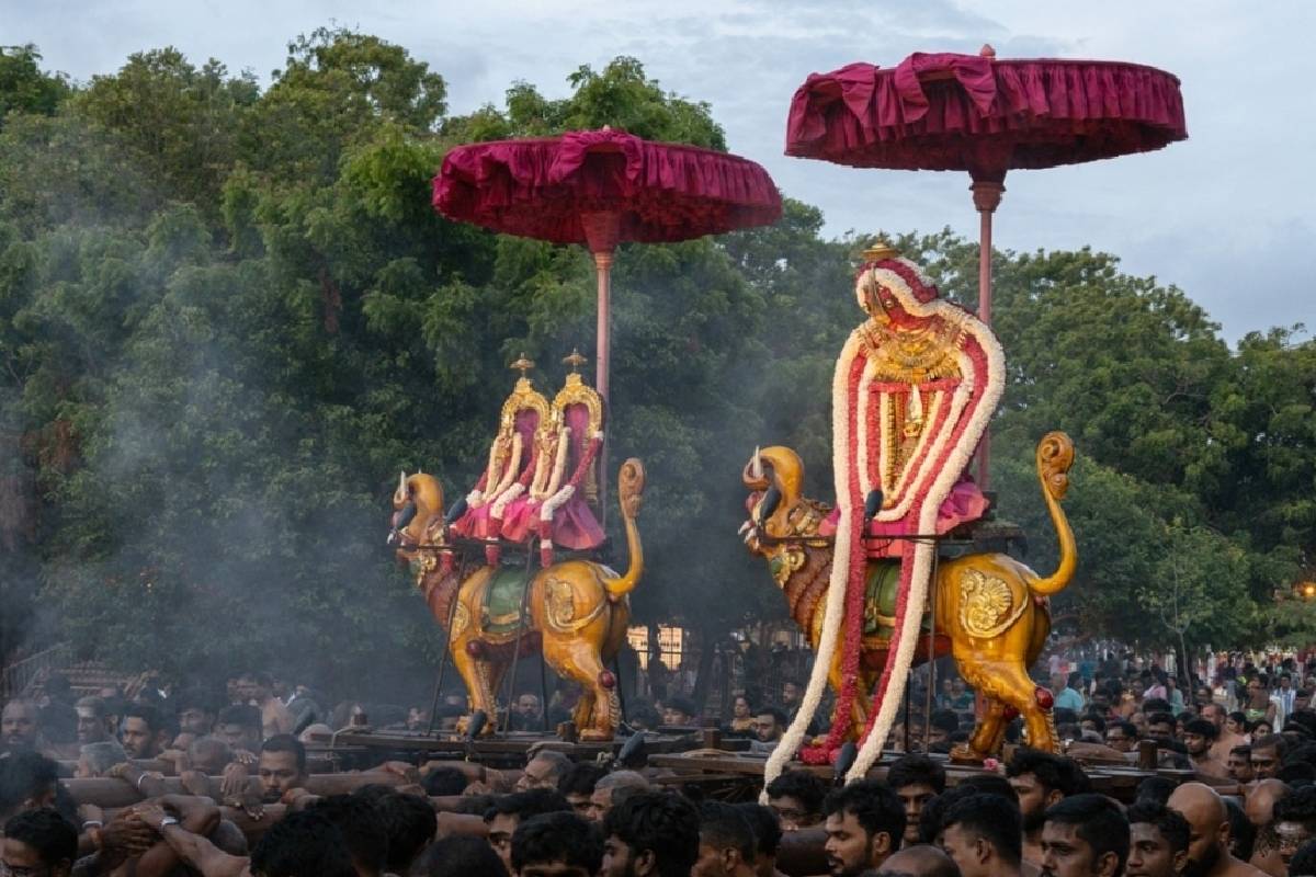 மகர வாகனத்தில் அருட்காட்சி அளித்த நல்லூர் கந்தன் ; நாளை மஞ்சத் திருவிழா | Nallur Kandan Performed Auspicious Makara Vahana