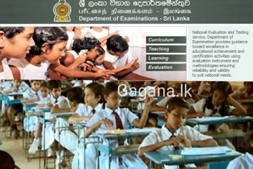 ශිෂ්‍යත්ව විභාගයේ ප්‍රතිඵල අනුව සිදු වූ විශේෂ දේ මෙන්න..ඉතිහාසයේ ප්‍රථම වතාවටලු..