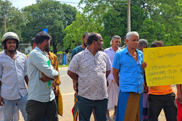 முழுமையாக அழிவடைந்த பயிர்கள்! போராட்டத்தில் குதித்த ​கிண்ணியா விவசாயிகள் | Farmers Protest In Kinniya Today