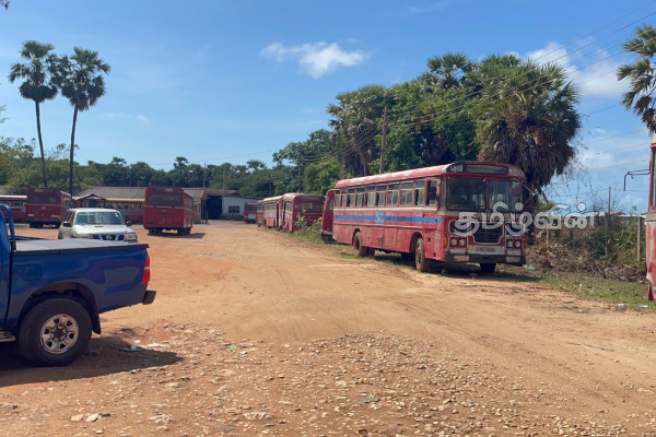 மன்னார் பொது போக்குவரத்து சாலையின் அவல நிலை | Poor Condition Of Mannar Public Transport Road