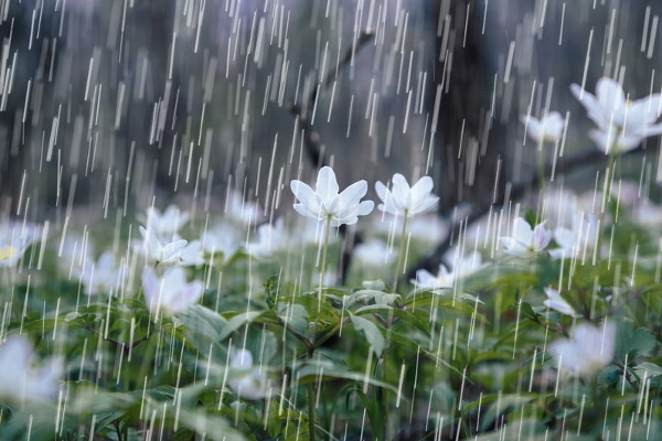 நாட்டில் மழை சற்று அதிகரிக்க வாய்ப்பு! | Chance Of A Slight Increase In Rainfall In Country