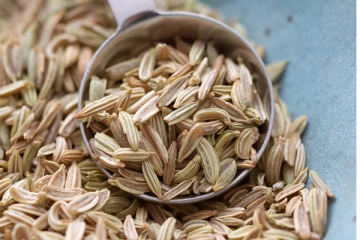 சமையலில் யாரெல்லாம் சோம்பு சேர்க்கின்றீர்கள்.... தினமும் சேர்த்தால் என்ன நடக்கும் தெரியுமா?