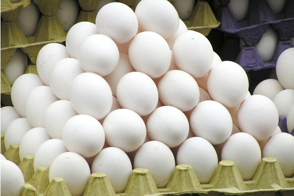 மீண்டும் முட்டைக்கு தட்டுப்பாடு! | Shortage Of Eggs Again