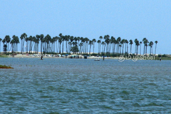 யாழ். பருத்தித்தீவில் மீண்டும் சீனர்கள் (Photo) | Jaffna The Chinese Again In Cotton Island