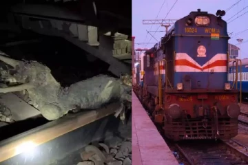 தண்டவாளத்தில் 10 கிலோ மரக்கட்டைகளை போட்டு ரயிலை கவிழ்க்க சதி