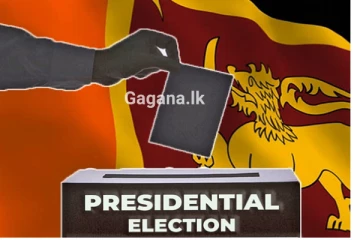 මැතිවරණ ප්‍රබලයෙකුට සහය දක්වමින් අලුත් පක්ෂයක් ගොඩනගයි..