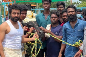 வாடிவாசல் படத்தின் இயக்குனர் வெற்றிமாறன் இல்லை! இவர் தான்.. ஷாக் கொடுத்த பிரபலம்