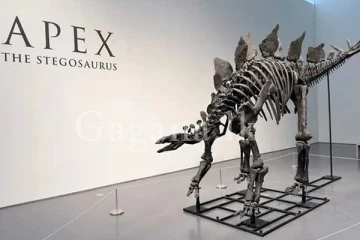 ඉතිහාසයේ පළමුවරට වෙන්දේසියට යන ඇපෙක්ස්..