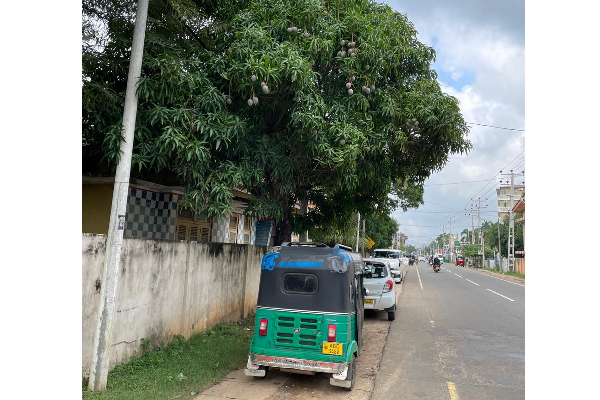 யாழில் பிக்மீ சாரதி ஒருவர் மீது தாக்குதல் | Three Wheeler Drivers Threat Pickme Driver Jaffna