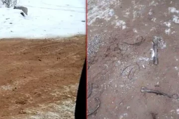 மனித எழும்புகளை கொண்டு உருவான பாதை - ஆவிகள் நடமாட்டமா..!