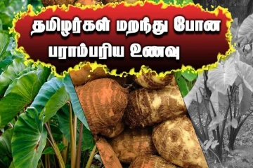 தமிழர்கள் மறந்துபோன உணவு... ஒரு முறை இதை உண்டால் நடக்கும் அதிசயம் என்னென்ன தெரியுமா?