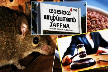 யாழில் எலி எச்சங்களுடன் வியாபாரம்: நீதமன்றம் பிறப்பித்த அதிரடி உத்தரவு