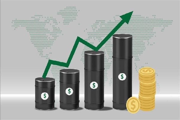 உலக சந்தையில் உச்சம் தொட்டது எரிபொருள் விலை | The Change In World Oil Prices