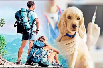 சுற்றுலாவந்த ஜேர்மன் பிரஜைக்கு நாய் தடுப்பூசி ஏற்றிய மருத்துவமனை; அதிர்ச்சியை ஏற்படுத்திய தகவல்!