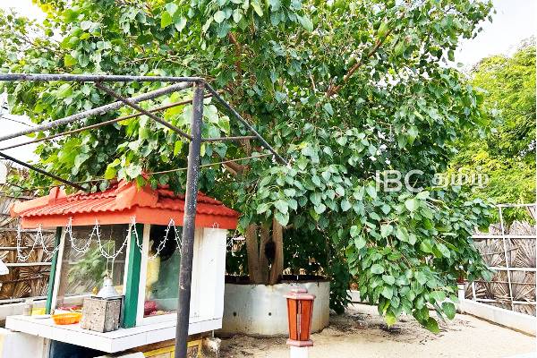 சர்ச்சைக்குரிய கச்சதீவு புத்தர் தொடர்பில் வெளியாகிய அறிவிப்பு..! | Removed Buddha Statue On Katchatheevu