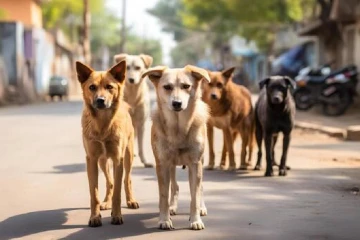 සෞඛ්‍ය දෙපාර්තමේන්තුවෙන් විශේෂ දැනුම්දීමක් [VIDEO]