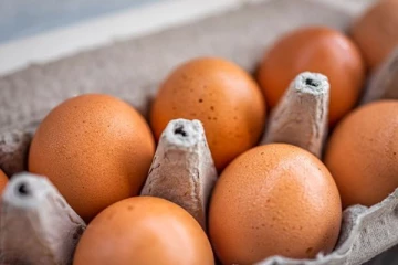 முட்டை விலை குறைவது பாதக நிலையை உருவாக்கும்! விவசாய அமைச்சு