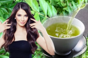 அடேங்கப்பா... தினமும் கறிவேப்பிலை தேநீர் குடித்து வந்தால் இத்தனை நன்மைகள் கிடைக்குமாம்!