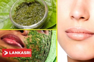 முகப்பருக்கள் மற்றும் கரும்புள்ளிகளை நீக்க வெற்றிலையை இப்படி பயன்படுத்தி பாருங்க!