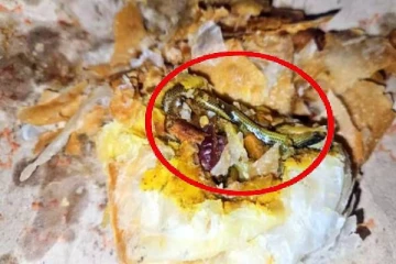 பிள்ளைக்காக வாங்கிய சிக்கன் பப்ஸ் ஒன்றினுள் பாம்புக் குட்டி ; அதிர்ச்சியில் உறைந்த பெண்