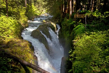 நிறைந்த நிசப்தம் - உலகின் மிக அமைதியான இடங்கள் எது தெரியுமா?