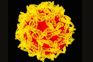 மஞ்சள் பூஞ்சை நோய் பரவ காரணம் என்ன? யாரை எல்லாம் தாக்கும்?