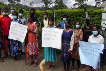 1000 ரூபா சம்பளம் தருவதாக ஏமாற்றிய கம்பனிகள்! மஸ்கெலியாவில் தொழிலாளர்கள் ஆர்ப்பாட்டம்