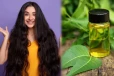 கட்டுக்கடங்காமல் கூந்தல் வளர்ச்சியை அதிகரிக்க இந்த ஒரே ஒரு எண்ணெய் போதும்